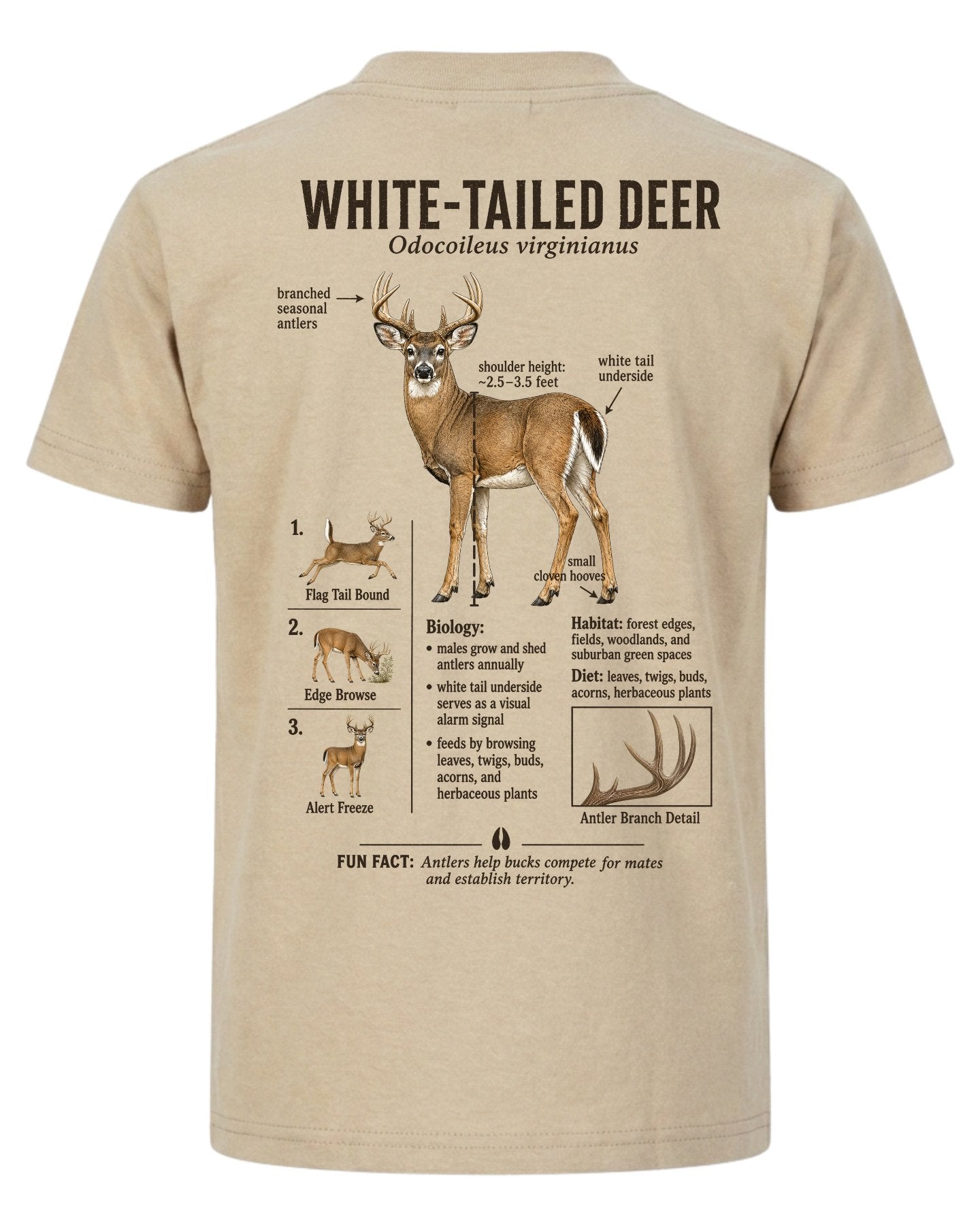Wildlife Facts White-tailed Deer T-shirt
