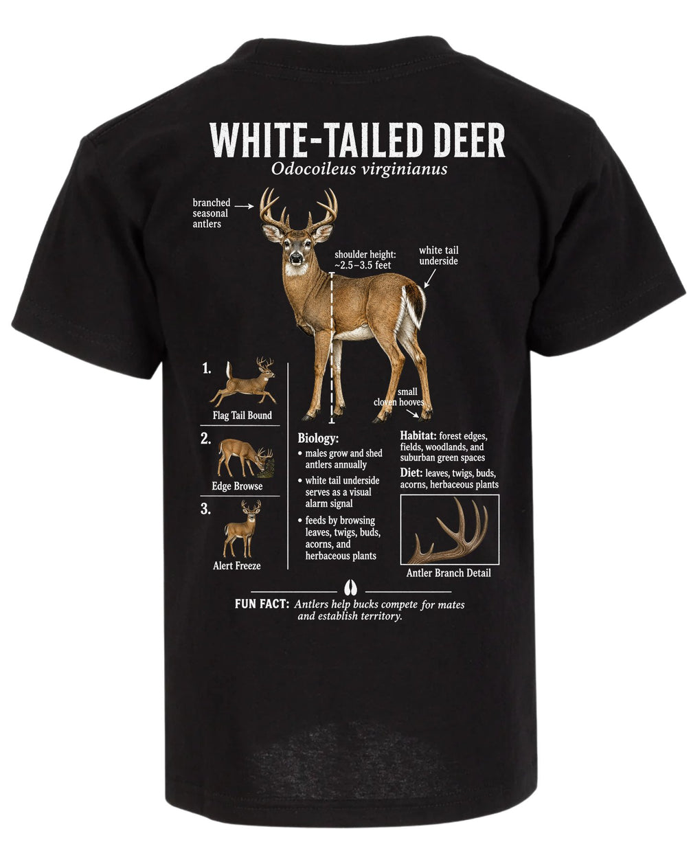 Wildlife Facts White-tailed Deer T-shirt