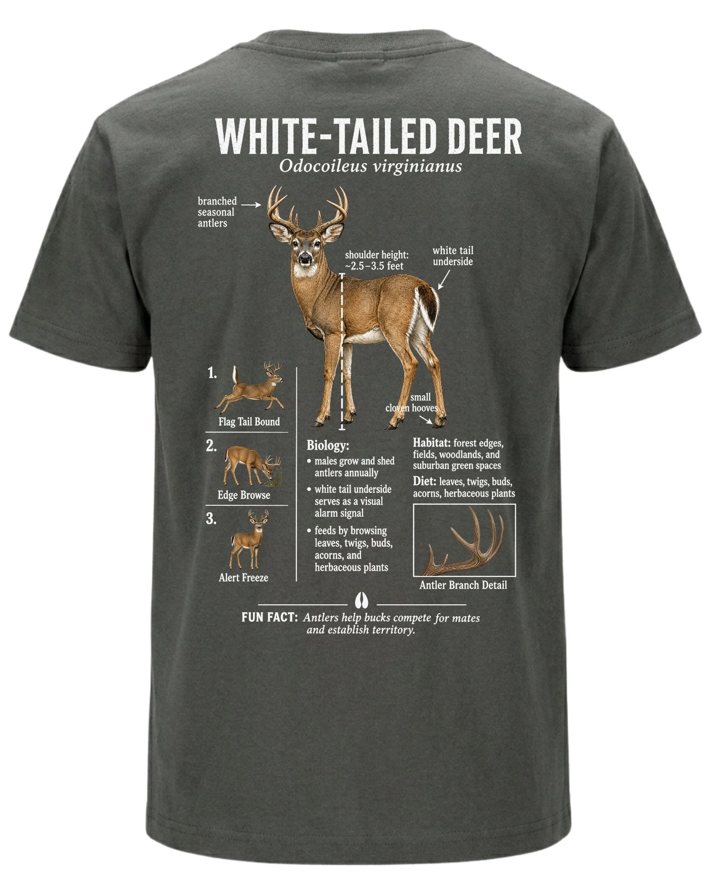 Wildlife Facts White-tailed Deer T-shirt