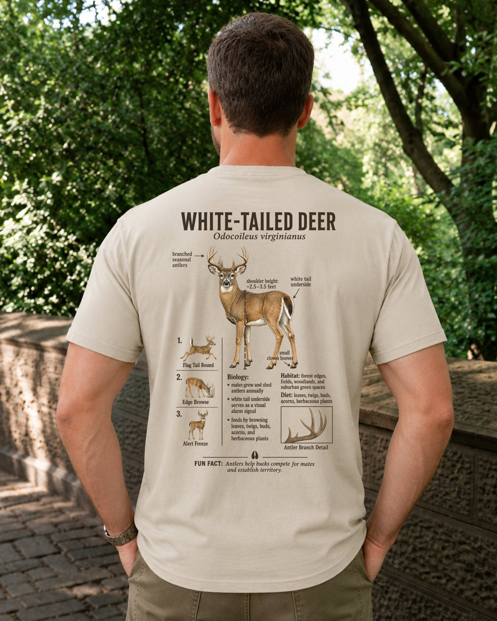 Wildlife Facts White-tailed Deer T-shirt