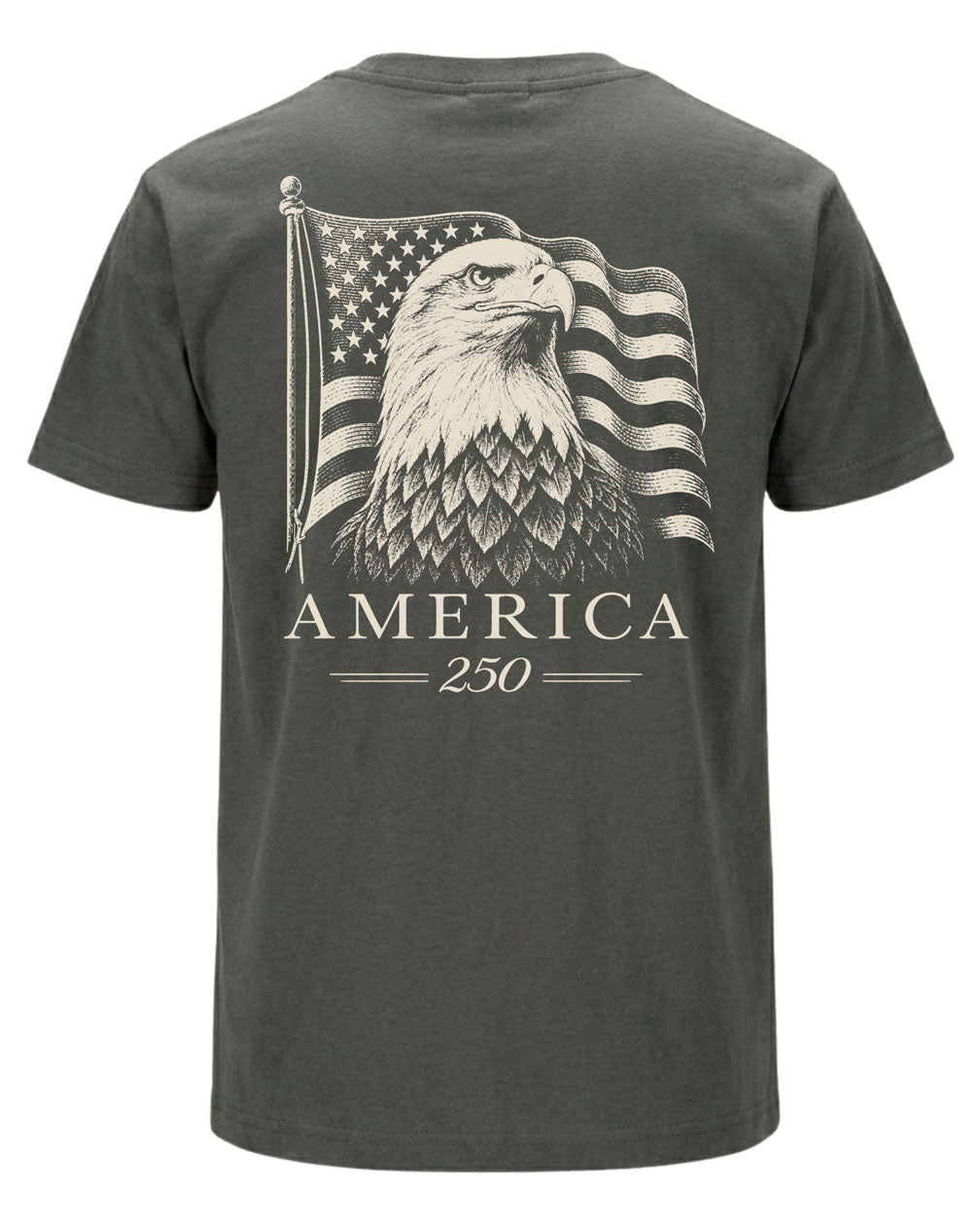America 250 Flag T-shirt