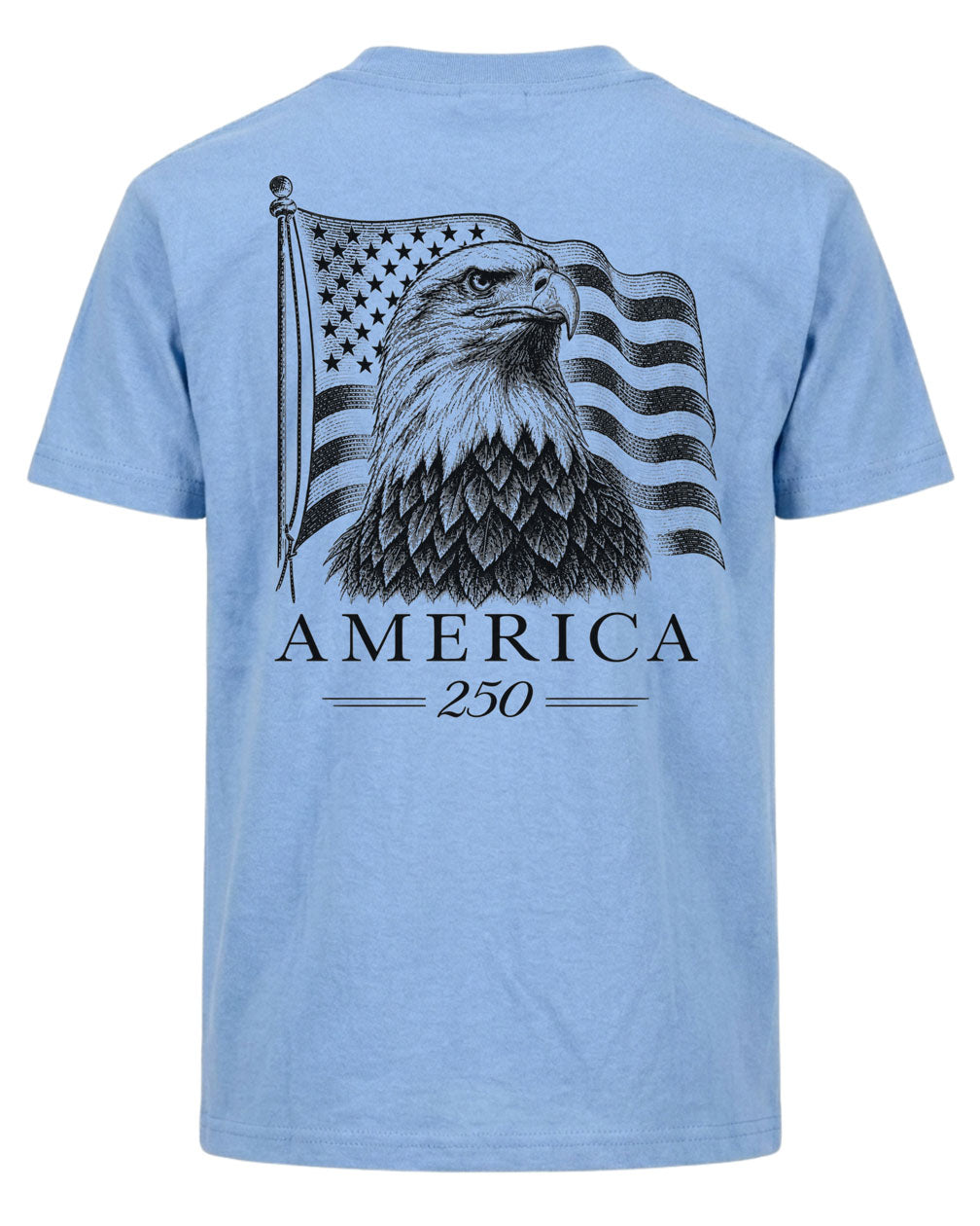 America 250 Flag T-shirt