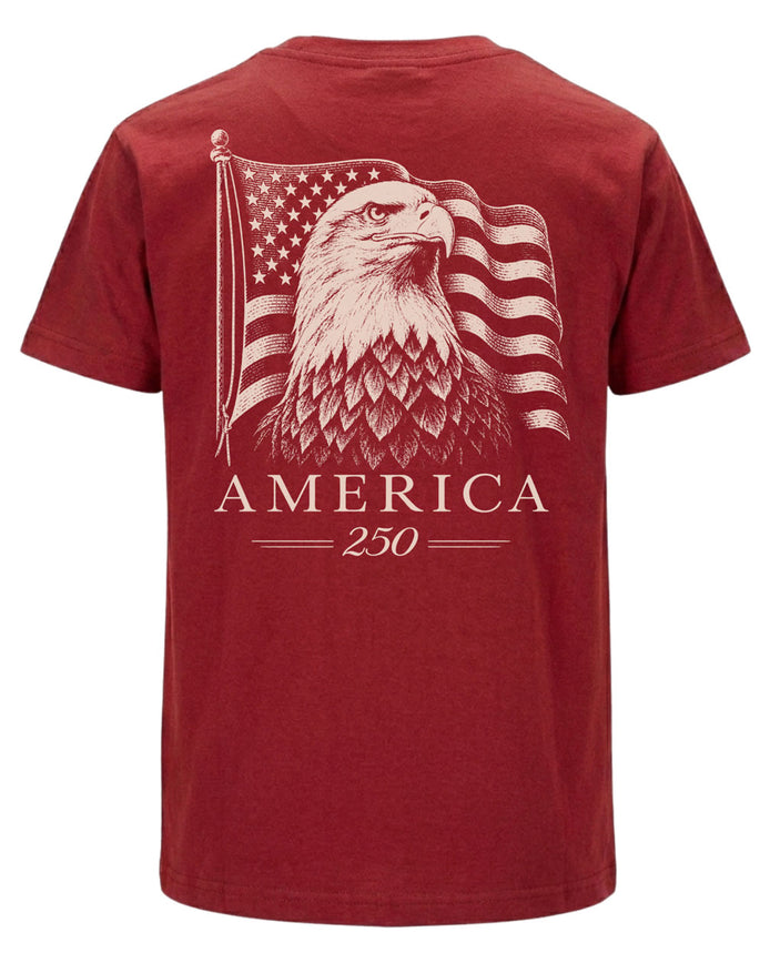 America 250 Flag T-shirt