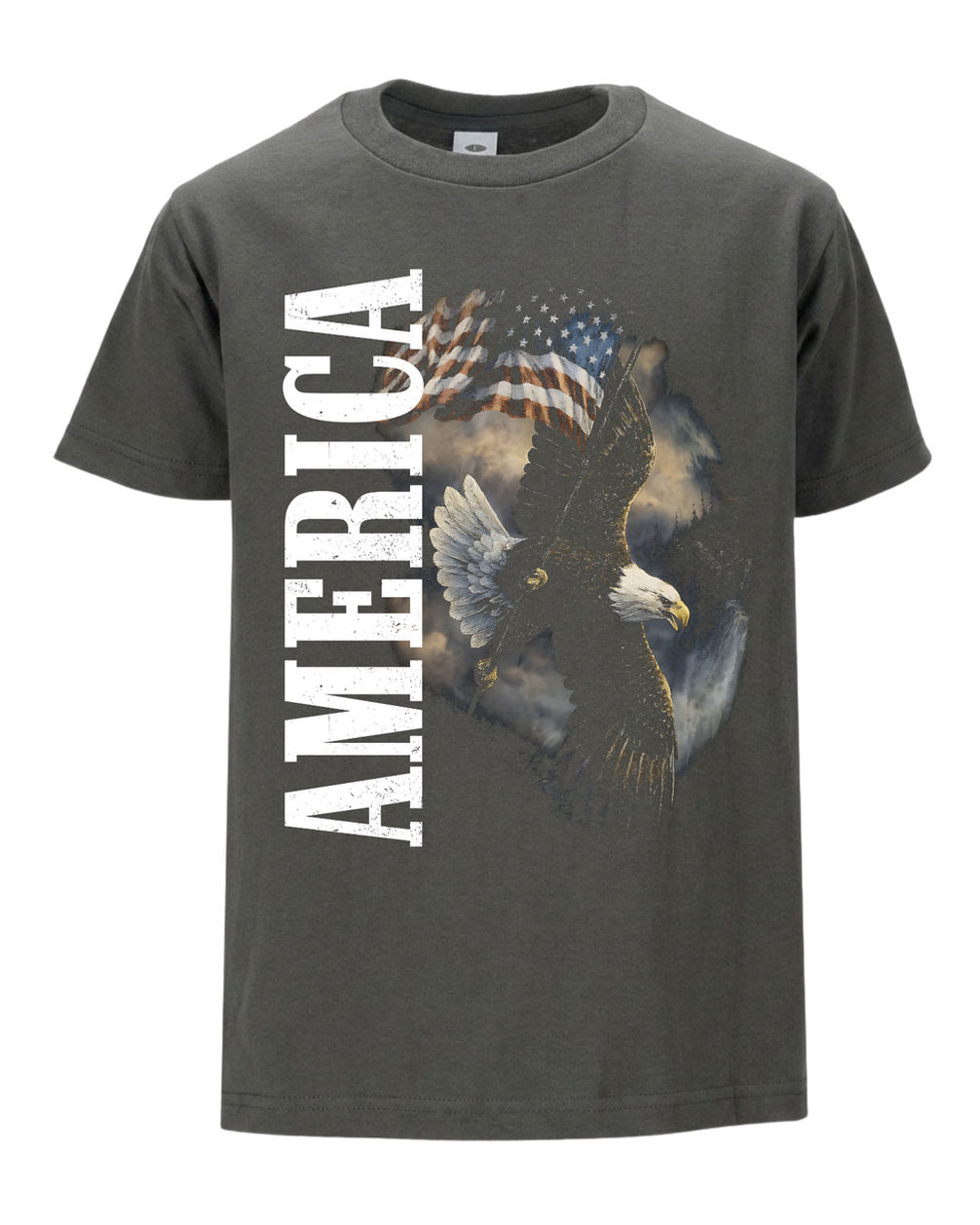 America Flag Eagle T-shirt