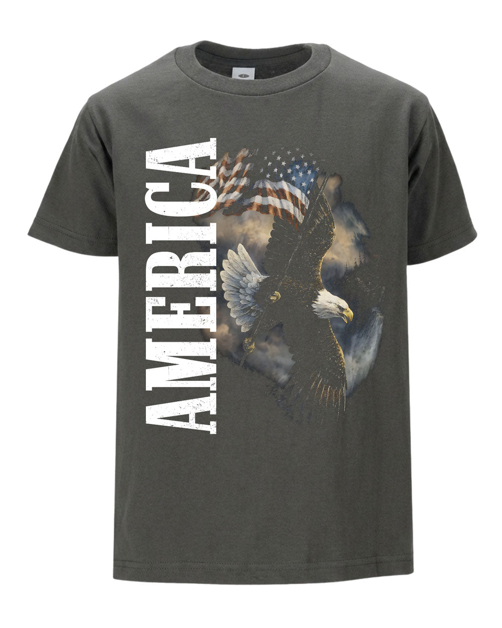America Flag Eagle T-shirt