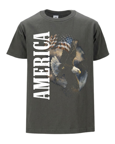 America Flag Eagle T-shirt